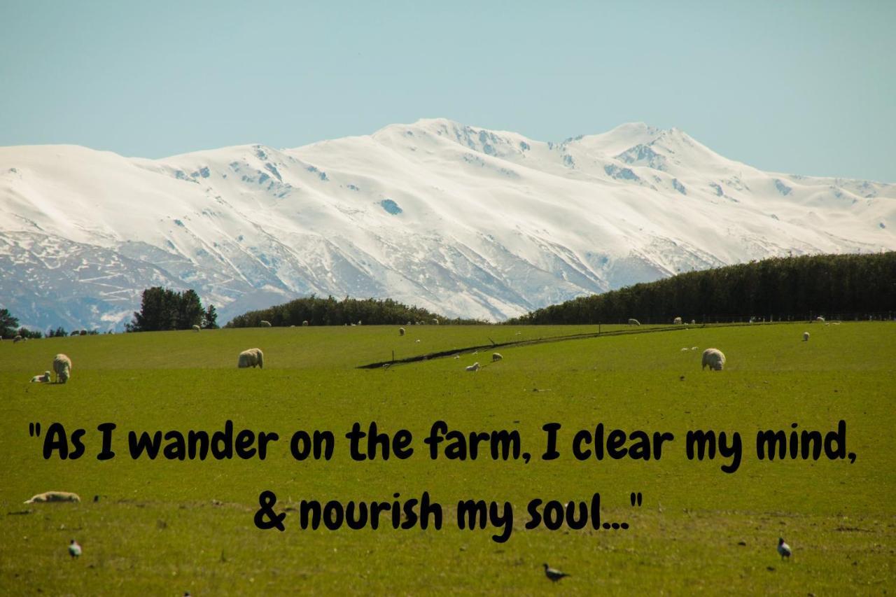 Shearvue Farmstay With Optional Free Farm Experience At 5Pm Fairlie Bagian luar foto