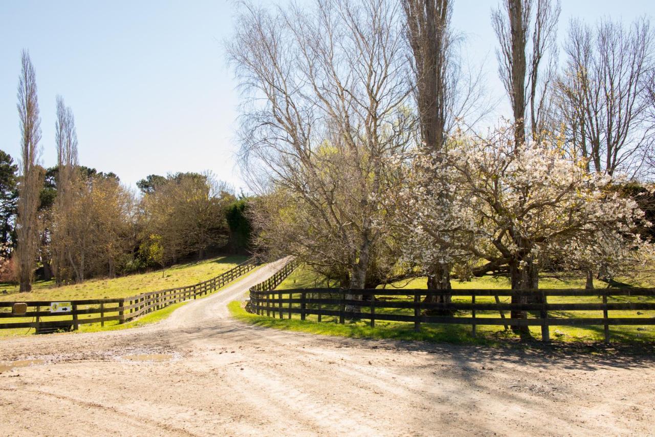 Shearvue Farmstay With Optional Free Farm Experience At 5Pm Fairlie Bagian luar foto